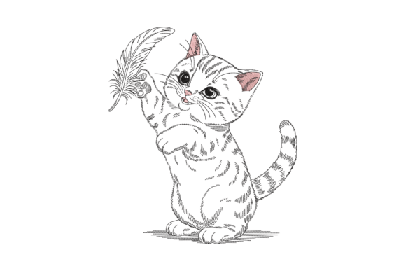 Adorable Kitten Playing with Feather