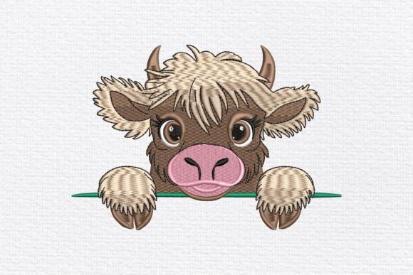 Peeking Highland Cow